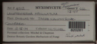Image Associated With the Occurence